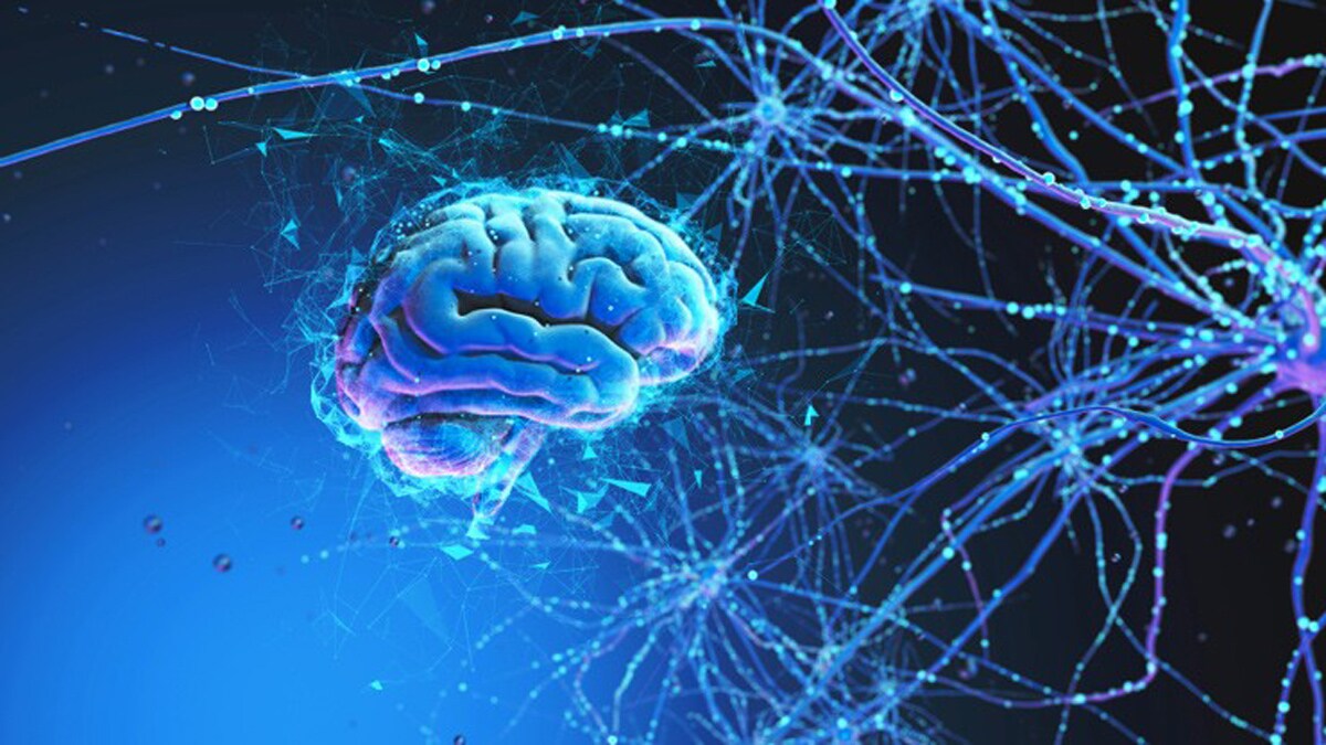 brain-neurons