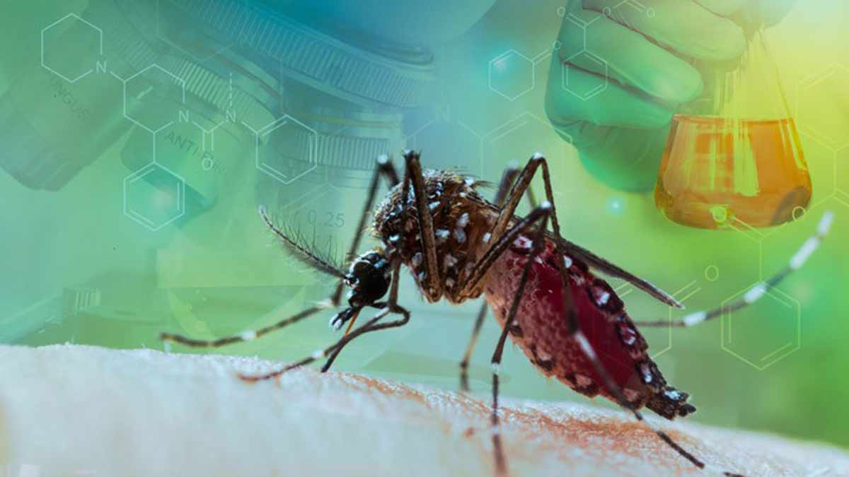 dengue-climate-change