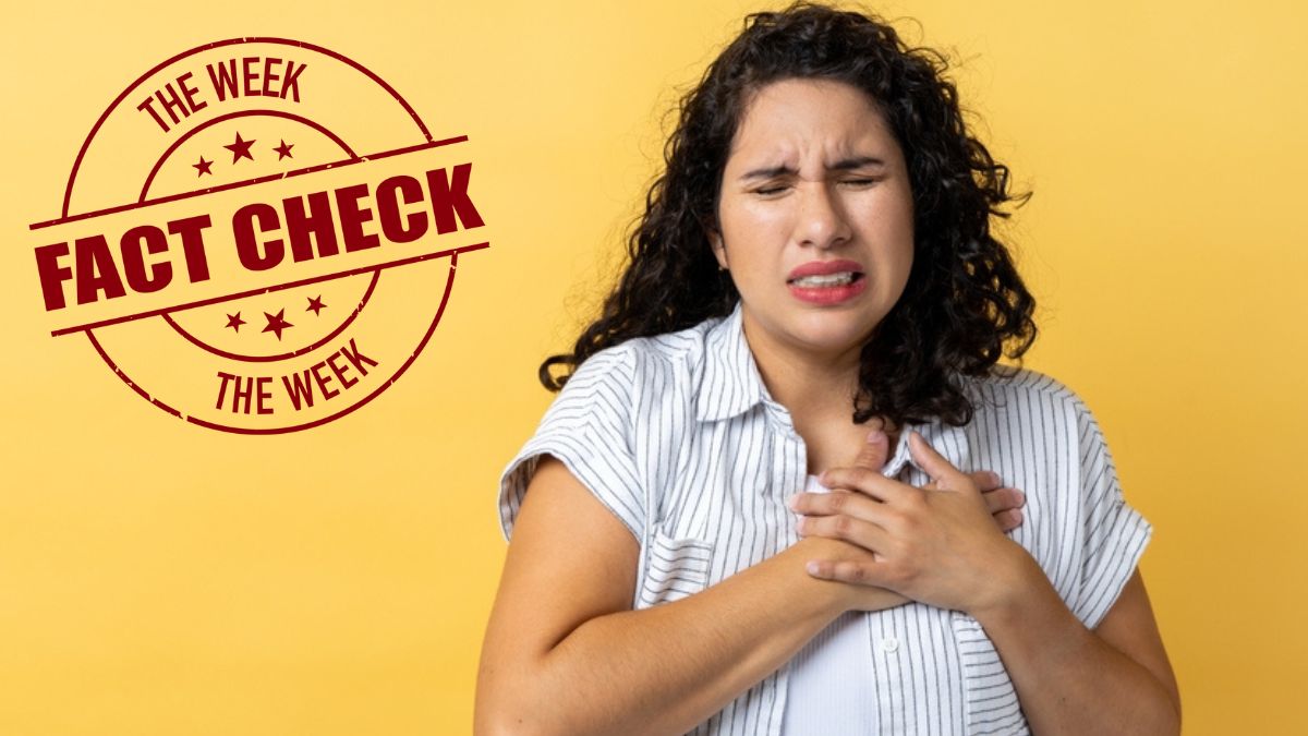 Fact Check: CT Coronary Scan