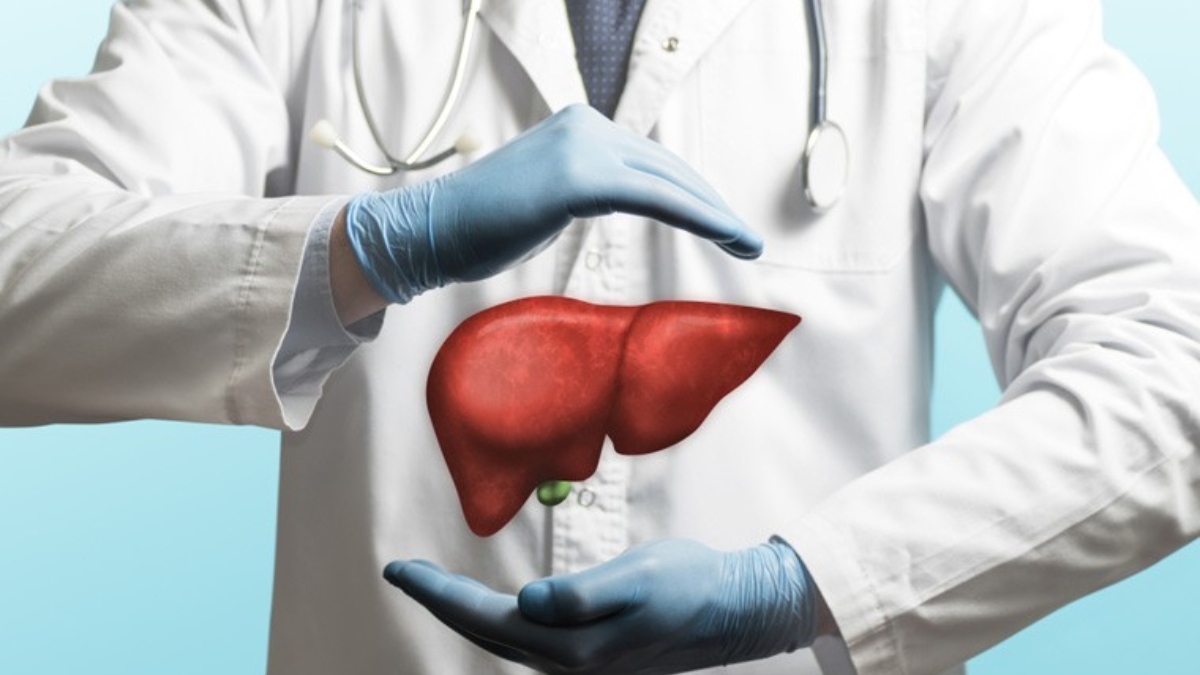 liver