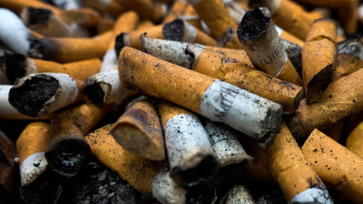 Tobacco - 1