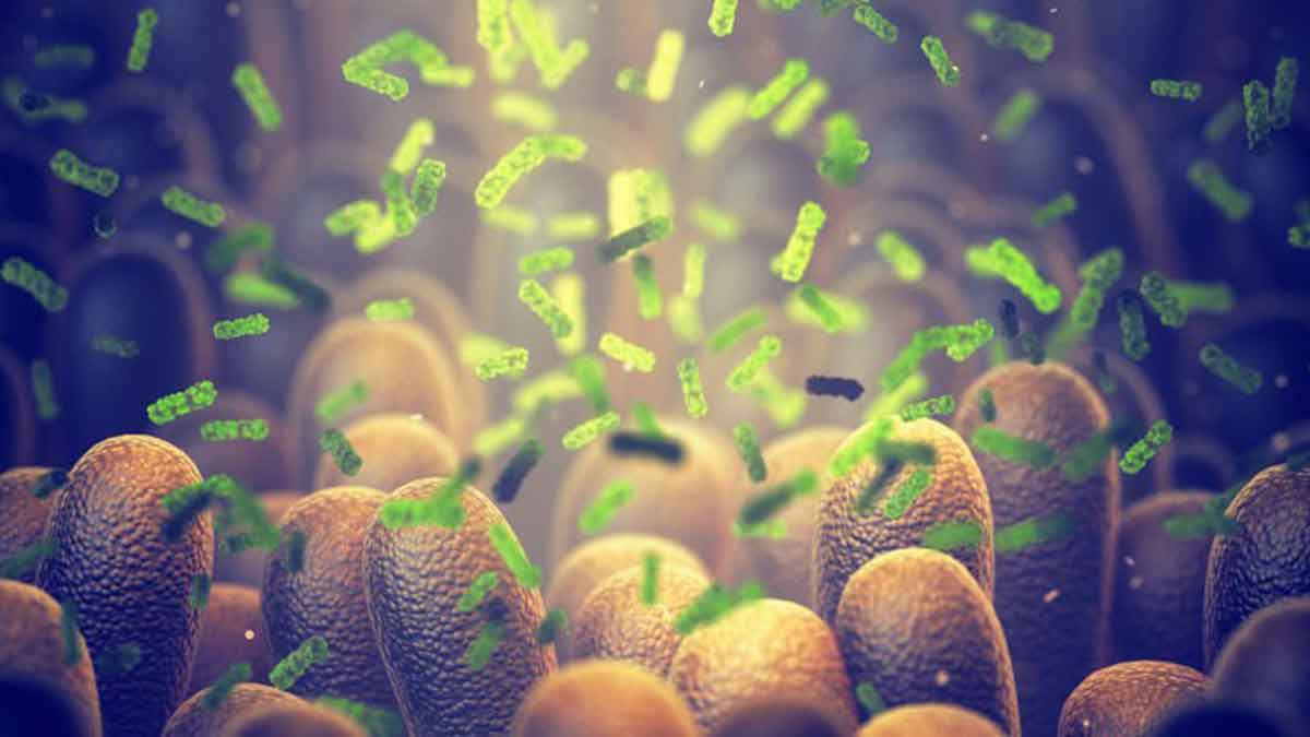 gut-bacteria-health-rep