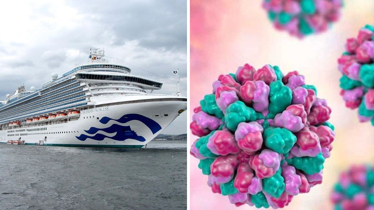Over 100 passengers and crew members reportedly fell ill during a recent norovirus outbreak aboard the Caribbean Princess cruise ship | X