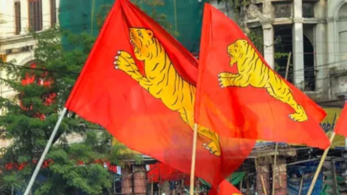 Image of AIFB flags used for representation
