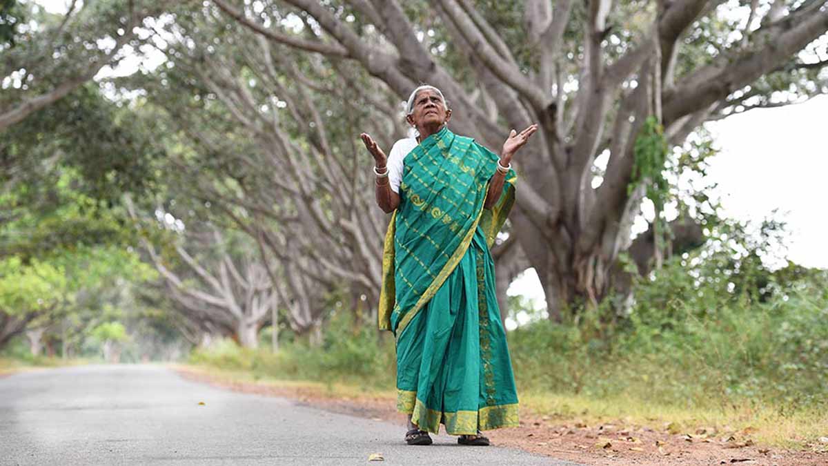 thimmakka-bhanu