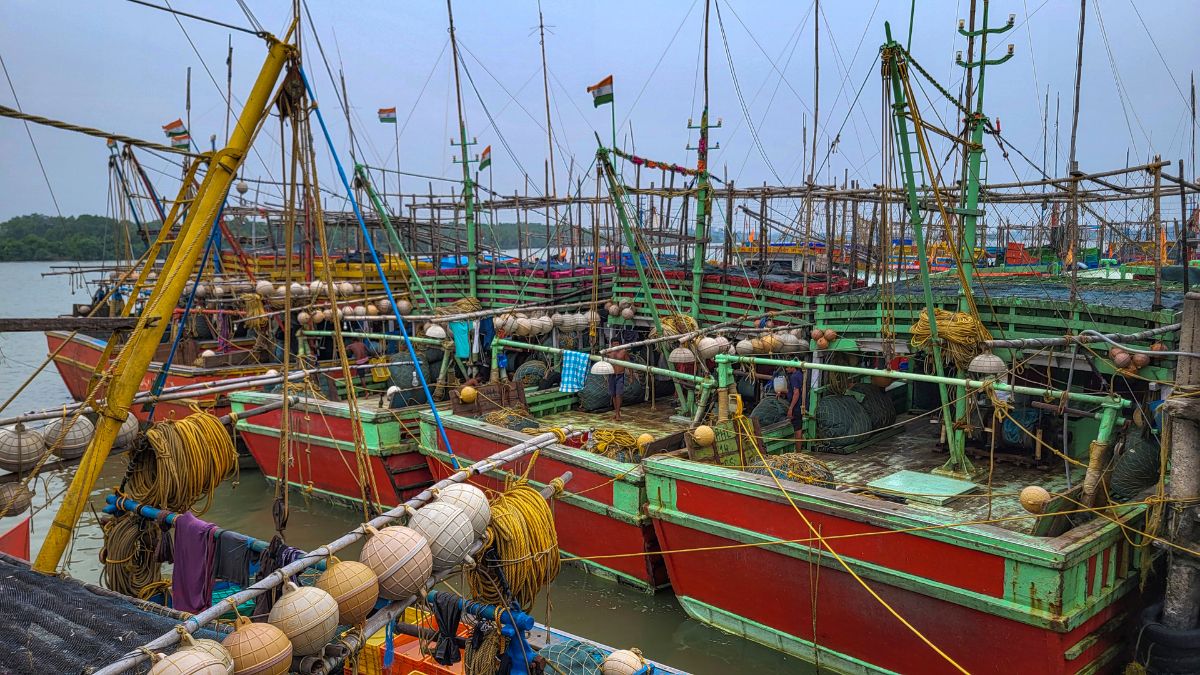 Trawlers tied to dock in view of cyclone 'Dana', which is expected to make landfall in Odisha, at Chandipur beach in Balasore, Odisha, on October 23, 2024 | PTI