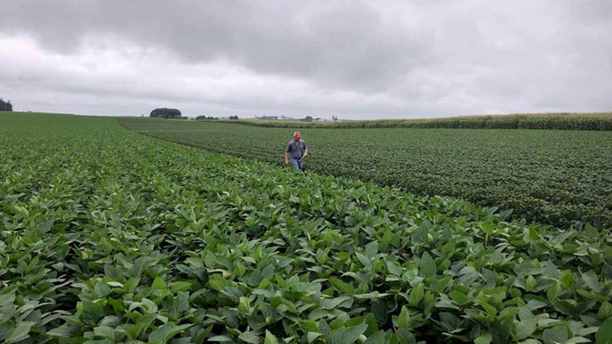 agriculture-reuters051024