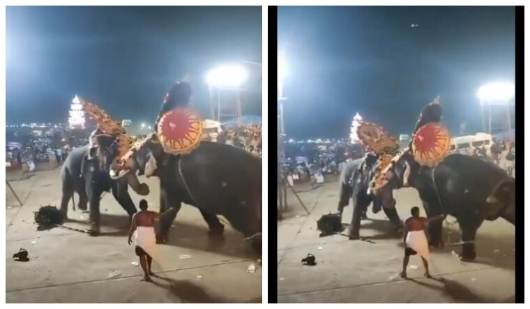 Two elephants face-off at a temple in Kerala's Thrissur amidst people (Viral video screengrab)
