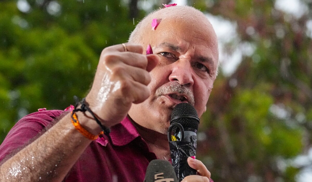 AAP leader Manish Sisodia addresses supporters after his release from Tihar jail | PTI