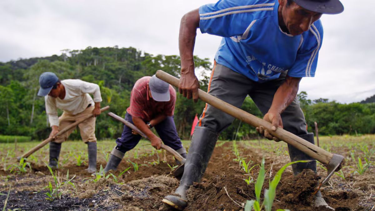 renewablefarmingfoodsecurity - 1