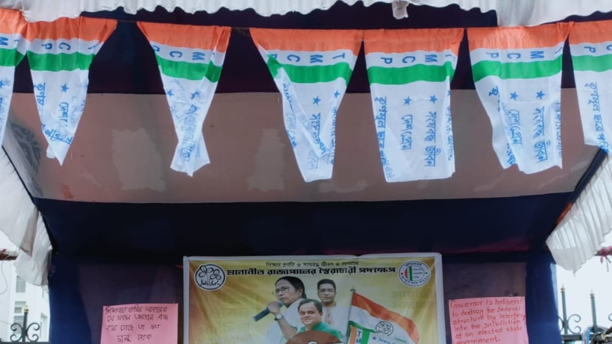 Trinamool Chhatra Parishad flags used for representation | X