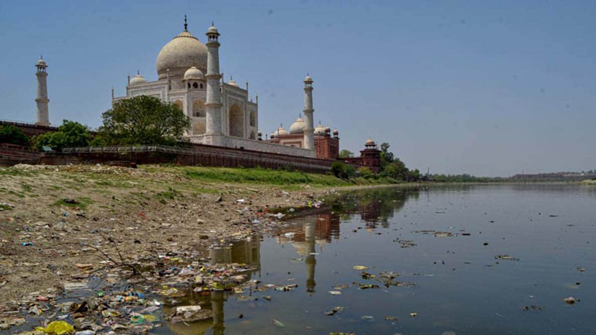 Yamuna flows behind the Taj Mahal | PTI