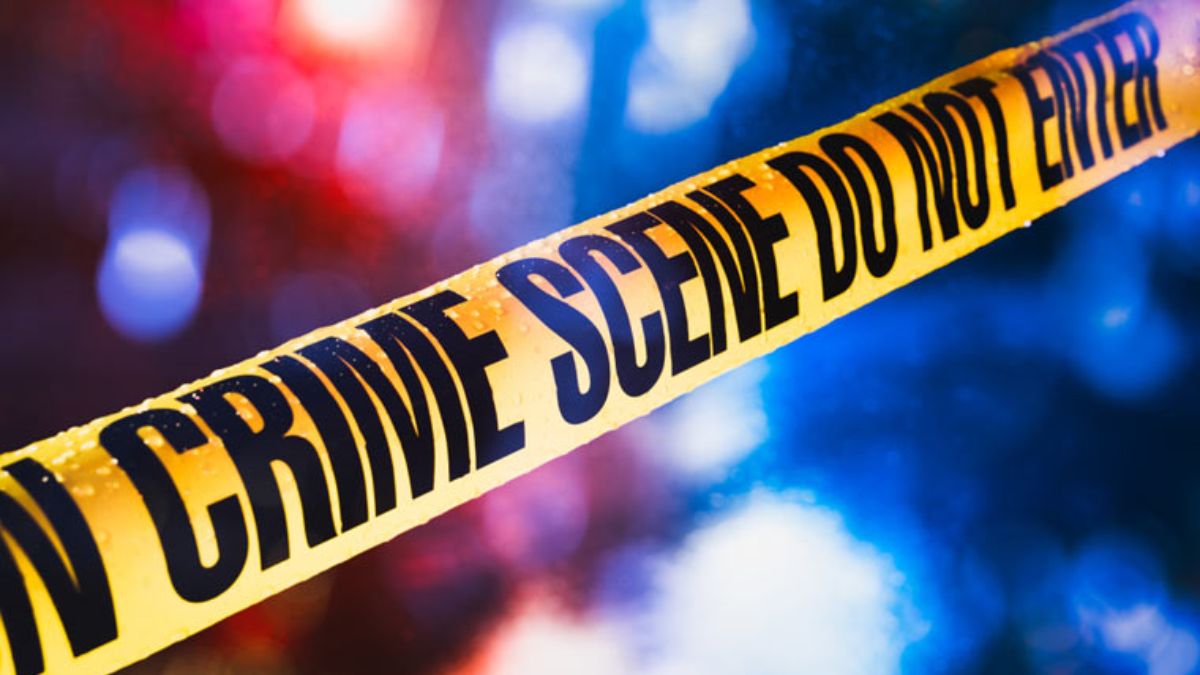 crime - 1