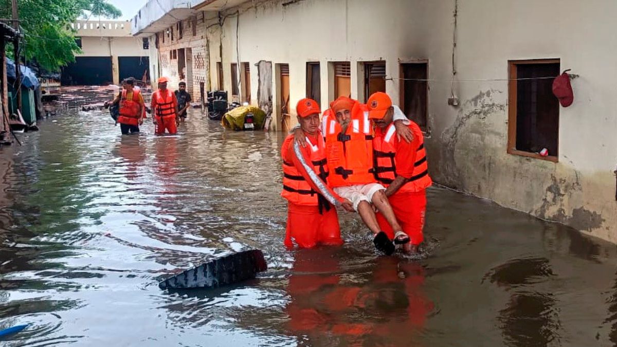 NDRF personnel rescue a local from a flood-hit area in Punjab | PTI