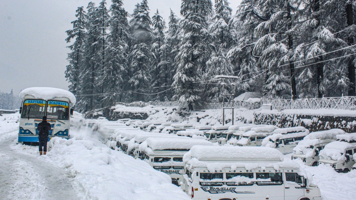 Vehicles covered in snow after fresh snowfall at Manali in Kullu district | PTI