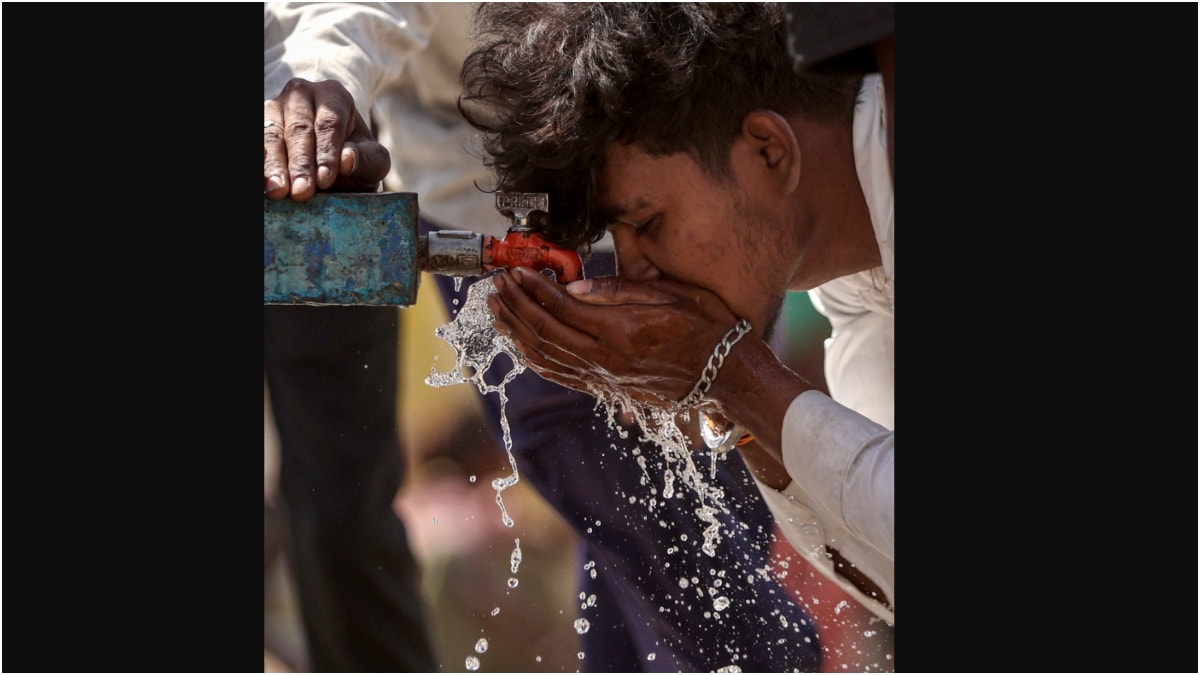 How groundwater extraction for export crops is draining Bundelkhand's poorest villages