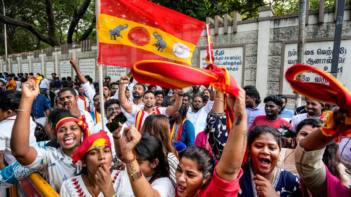 TVK supporters celebrate after election results | PTI 