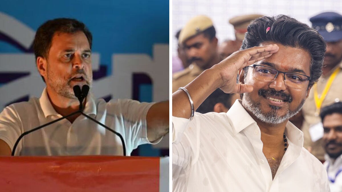Congress leader Rahul Gandhi and TVK chief Vijay 