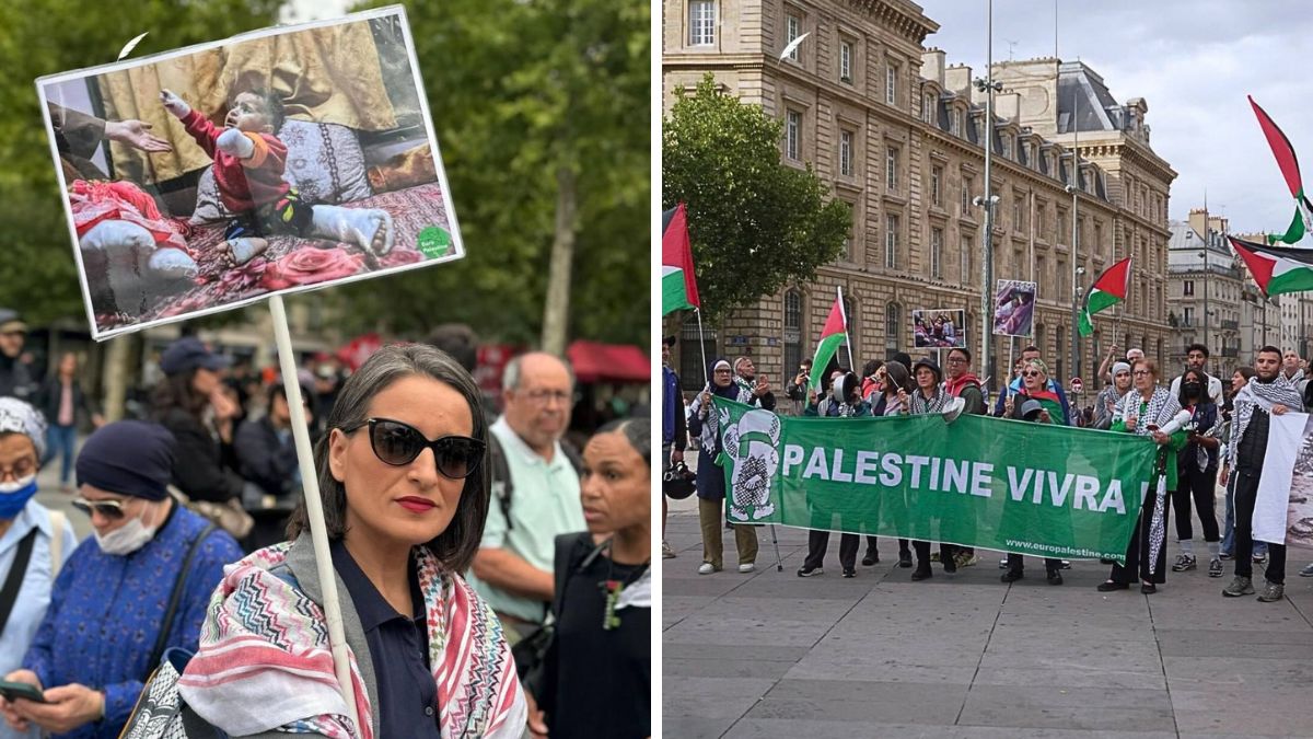 A pro-Palestine rally in France | X 