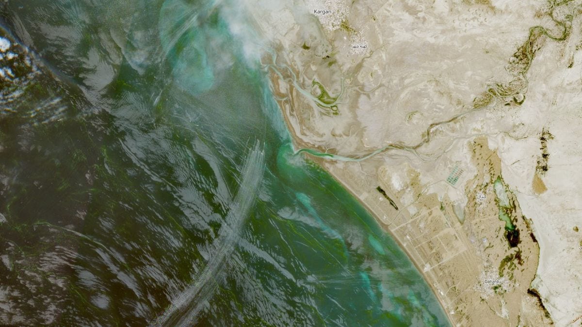 A screen capture from a video said to show the seizure of the container ships MSC Francesca and Epaminondas in the Strait of Hormuz, broadcasted on Iranian State TV, and released April 22, 2026, shows soldiers taking part in the operation | Reuters