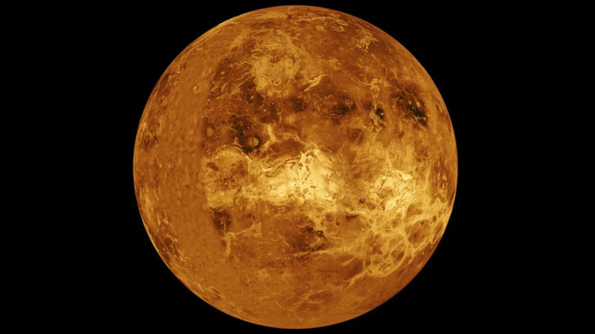 Venus