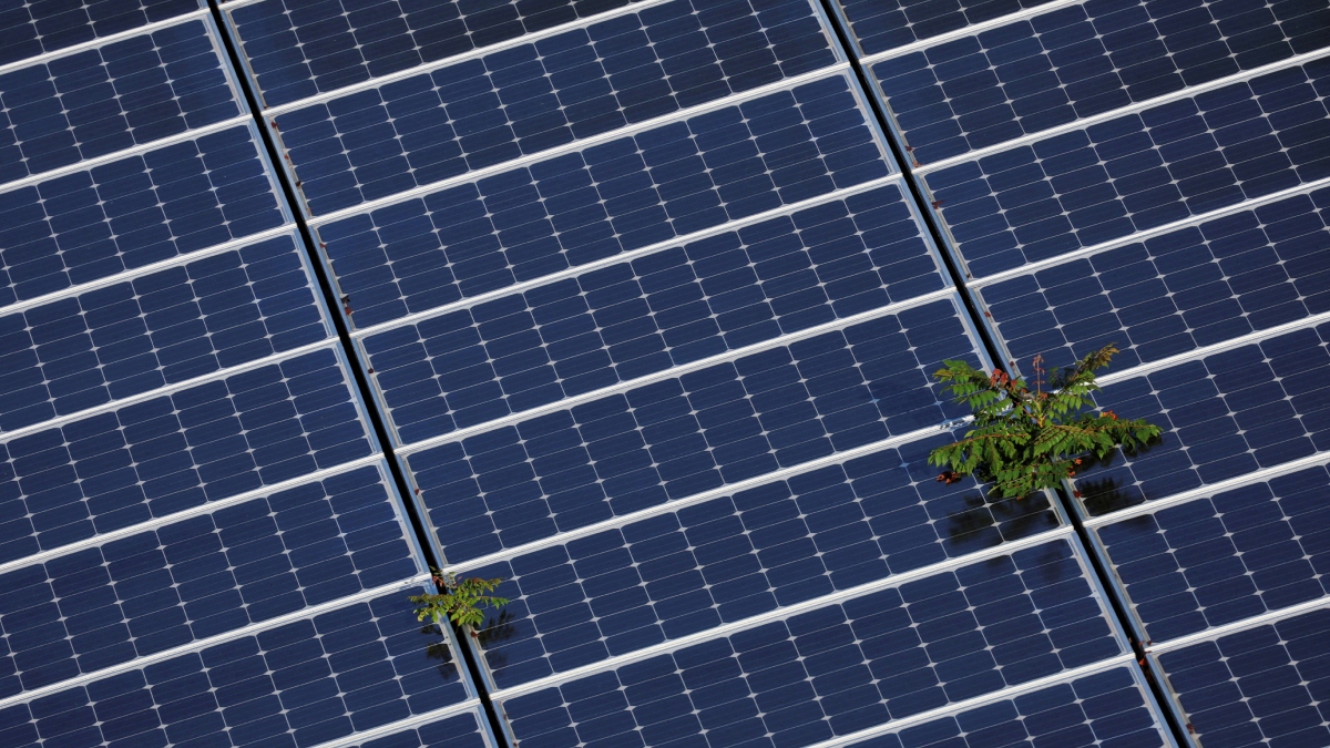 solar panel