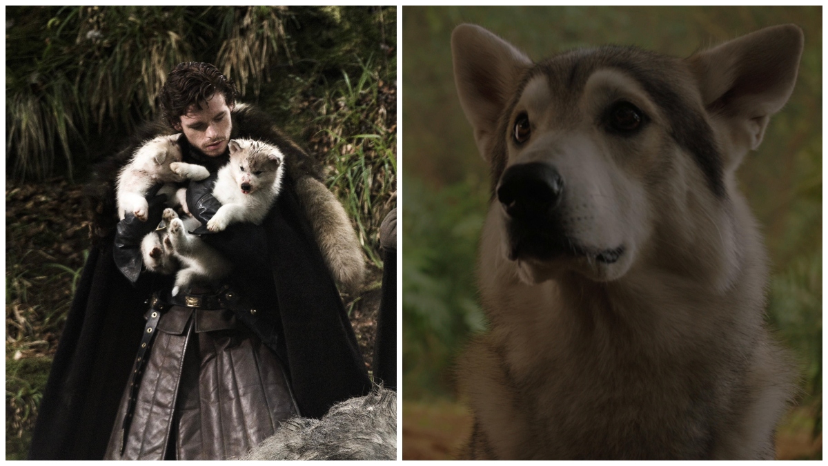Dire wolves in 'Game Of Thrones
