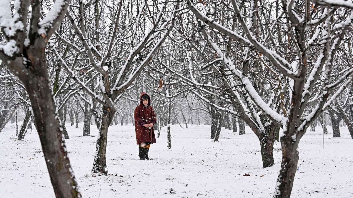 kashmir snowfall