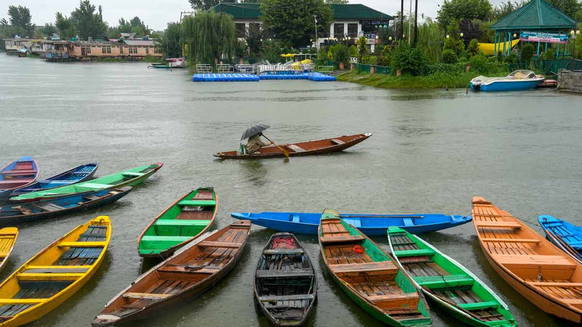 A man rows his boat across Dal Lake amid rain, in Srinagar | PTI