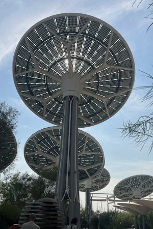 Expo City | Neeta Lal