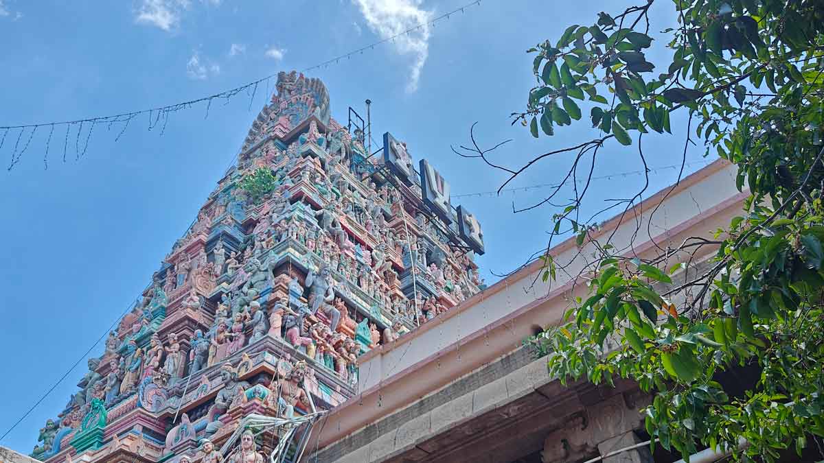 The facade of Parthasarathy Temple | Bindu Gopal Rao