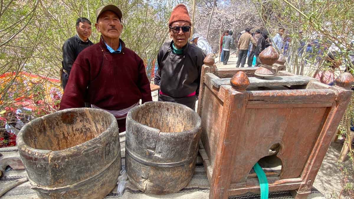 Scenes from the Apricot Blossom Festival | Vijaya Pratap