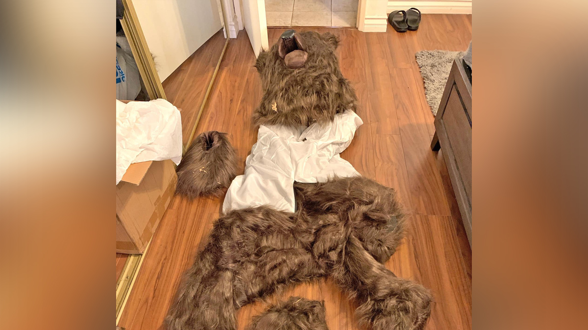 Insurance fraud bear costume