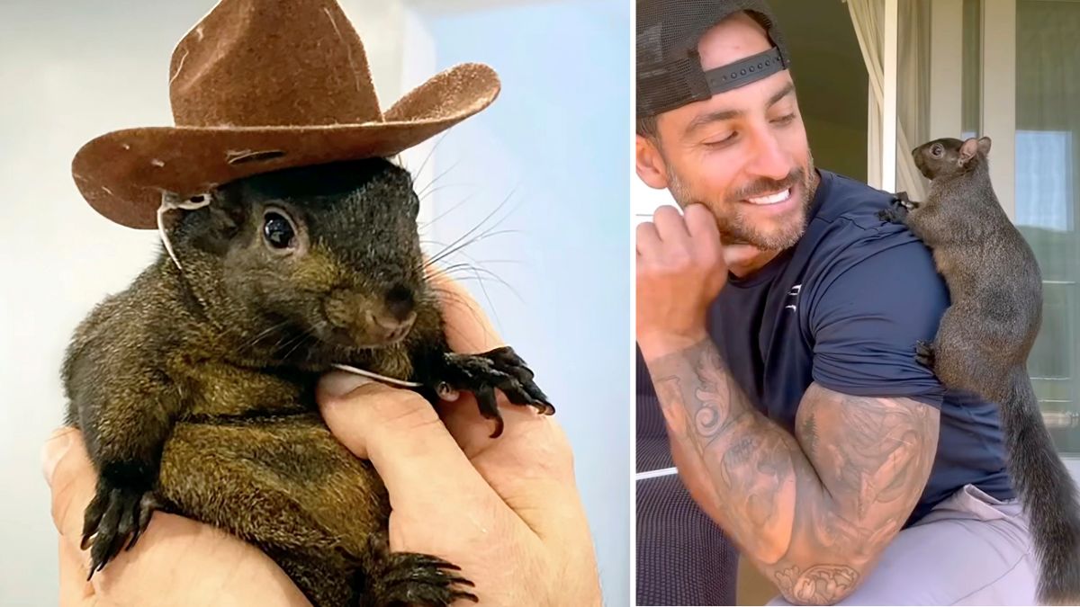 Peanut the Squirrel