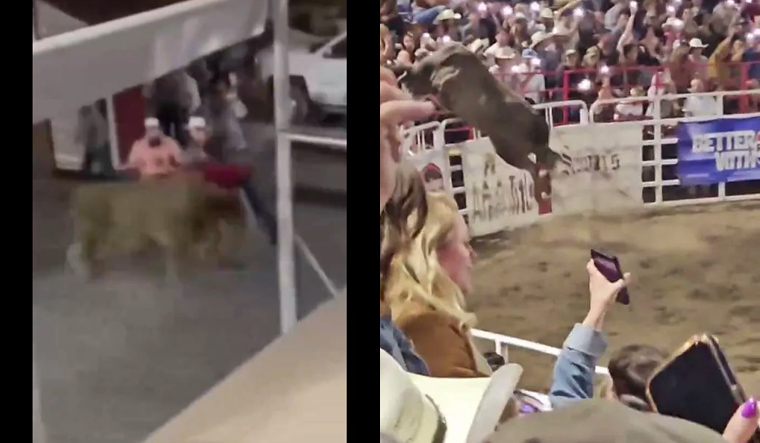 Screen Grab: Bull leaps out of the area and tosses woman along its way | X