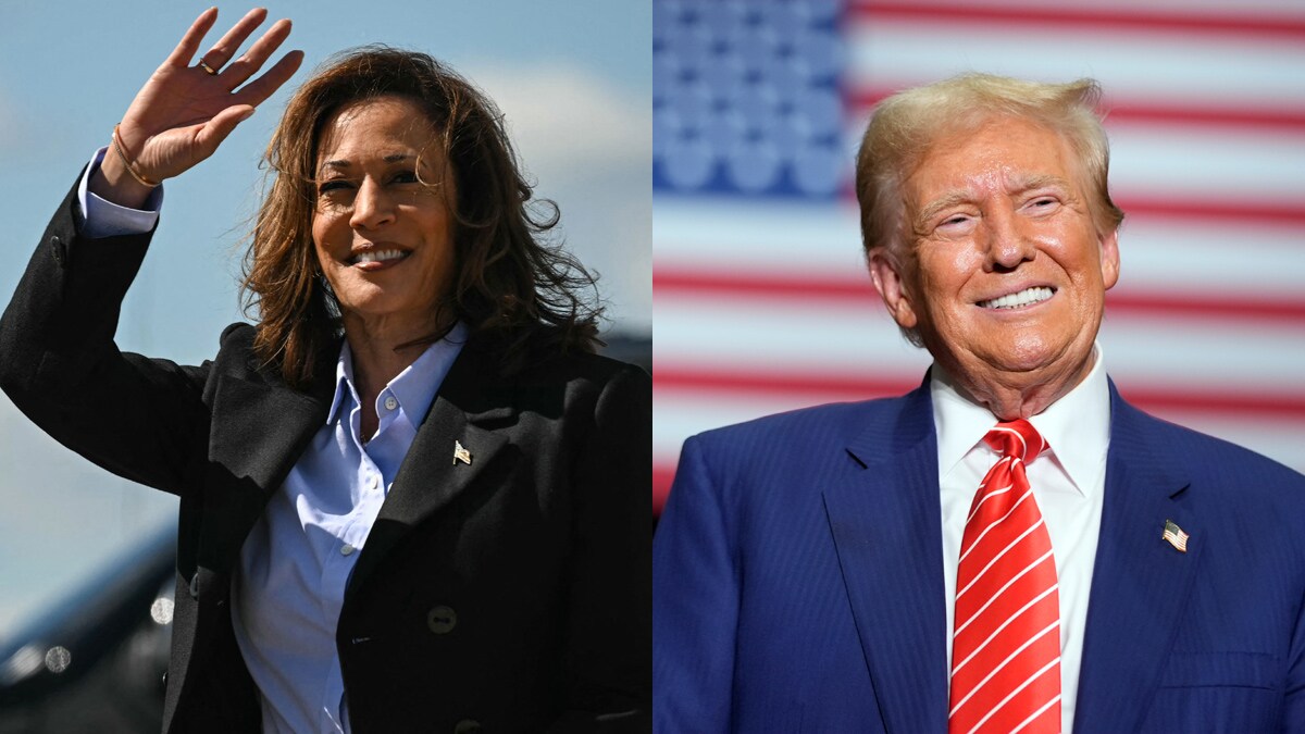 harris-trump-swing-states-battle-afp-ap