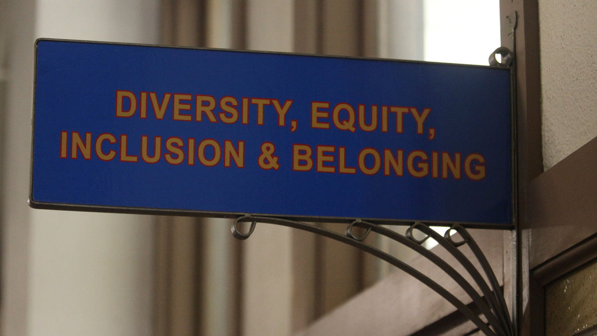 DEI initiatives US 