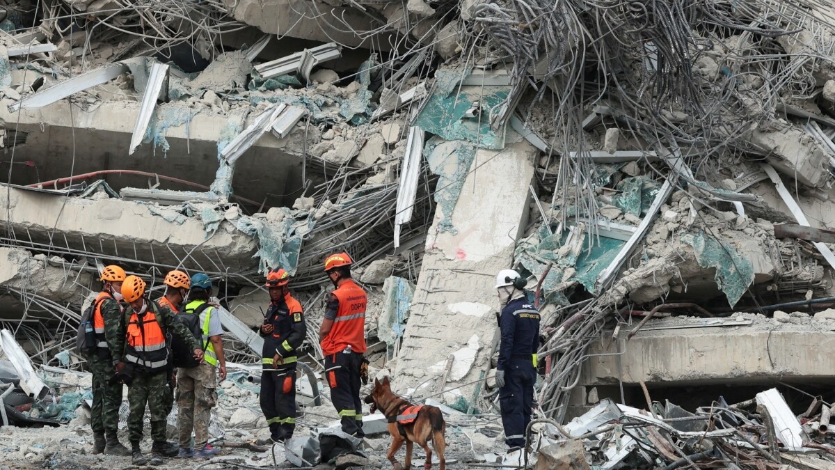 Rescuers work with a K9 dog at the site of a building that collapsed following a strong earthquake in Bangkok Thailand | Reuters