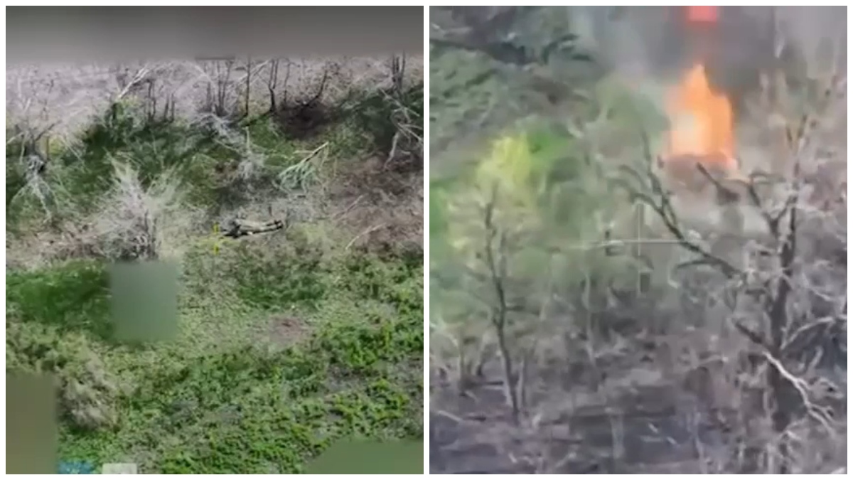 Russia-Ukraine war: Released on Telegram by Commander of the National Guard of Ukraine, Oleksandr Pivnenko, the video claimed to show a Russian attack convoy being obliterated by Ukraine's 14th National Guard Brigade “Chervona Kalyna”
