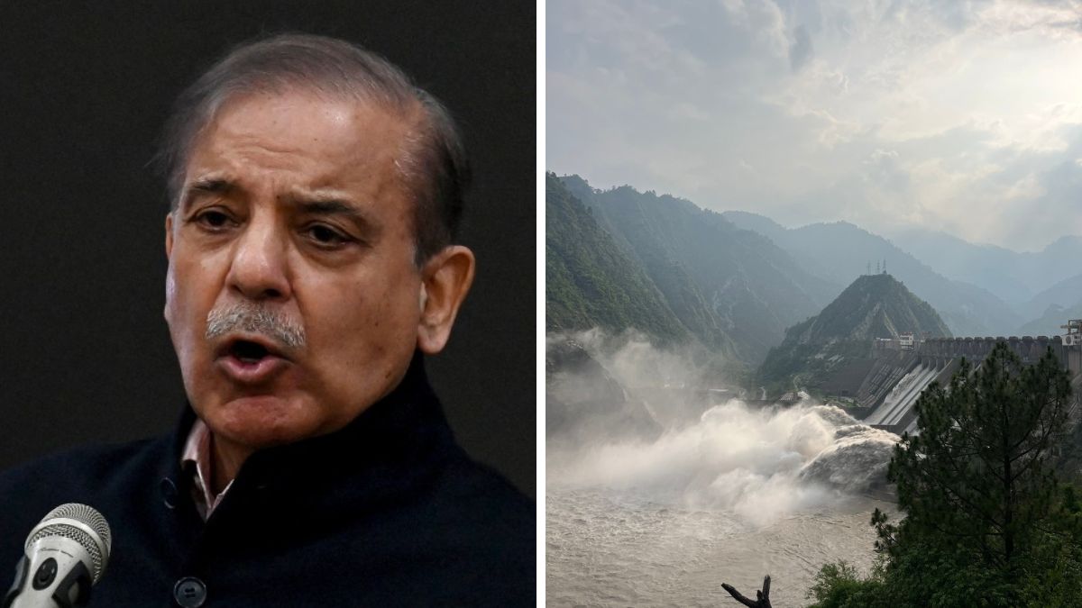 Shehbaz Sharif-Indus Waters  - 1