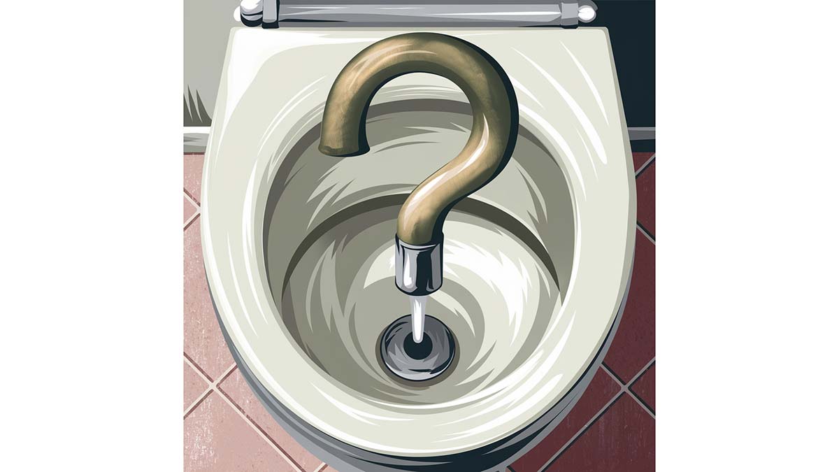54-Toilet-paper-a-bum-deal-new