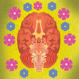 Illustration: Deni Lal