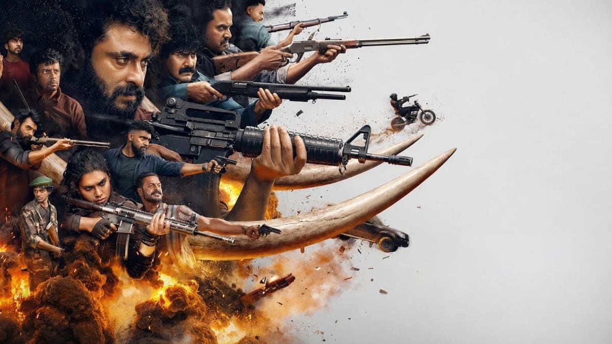 kattalan-review-the-week