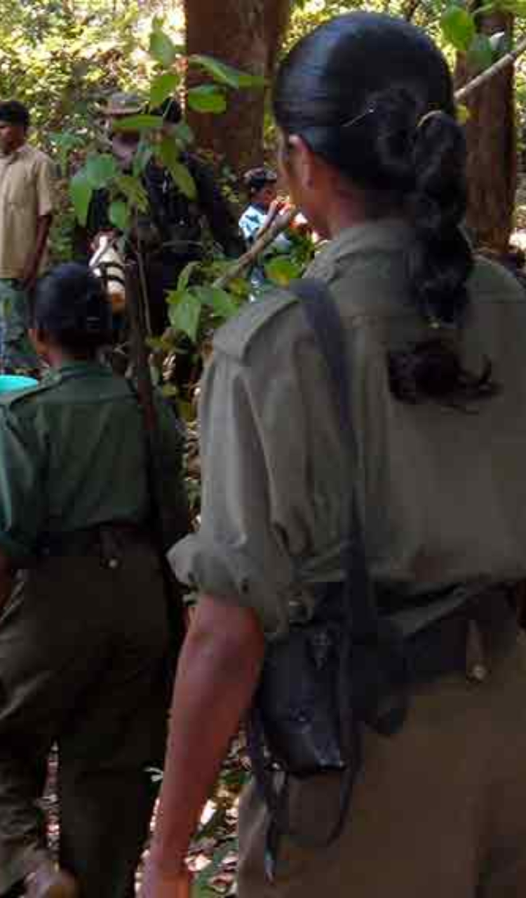 Chhattisgarh Narayanpur-Dantewada Maoist encounter: Recent anti-Naxal operations in Bastar that killed left extremists