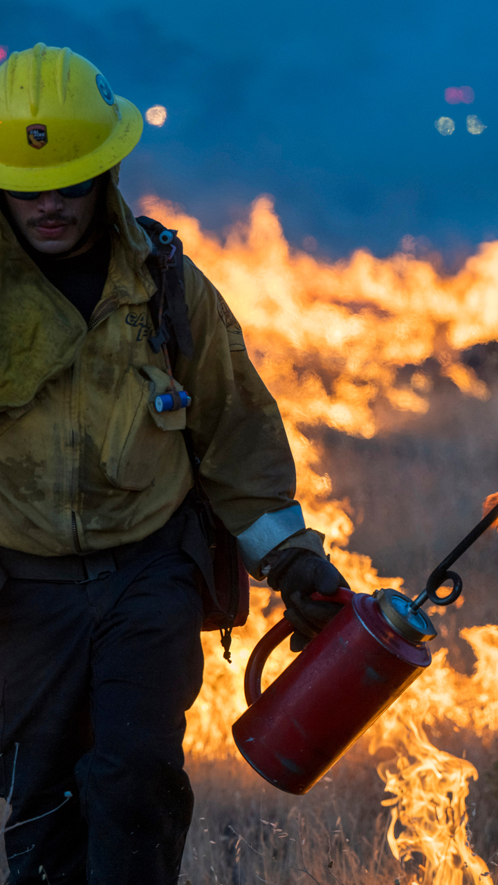 US wildfires: Acres of land turned to embers as blaze rages on in California