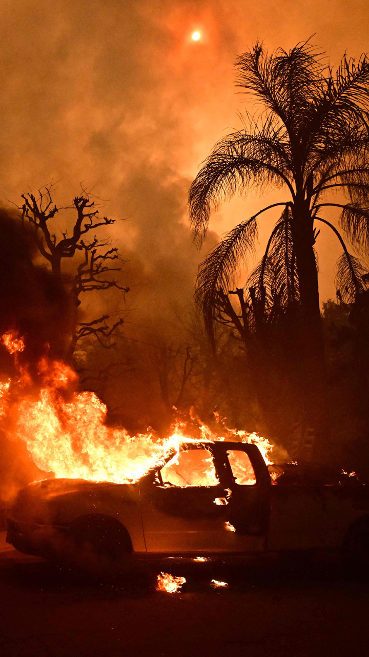 US wildfires: California fights devastating blaze | IN PICS 