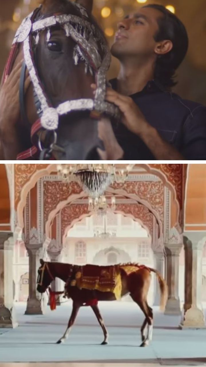 Maharaja Sawai Padmanabh Singh collaborates with USPA to protect Marwari horses