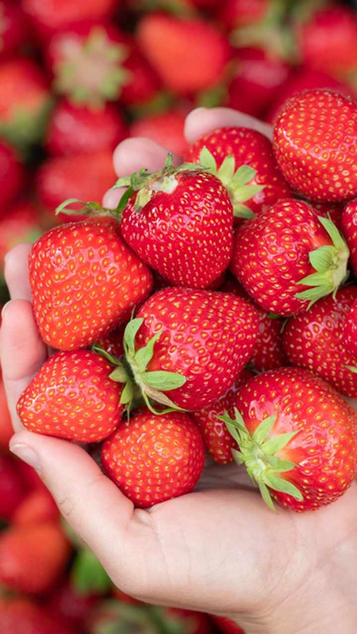 6 amazing health benefits of strawberries – Bet you didn’t know these!